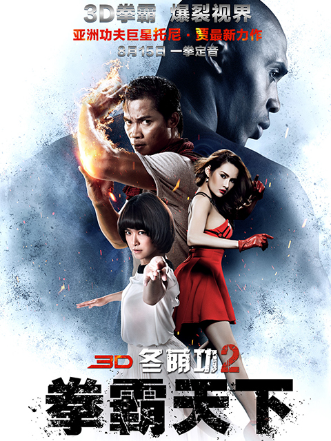 冬荫功2:拳霸天下