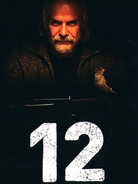 十二怒汉:大审判